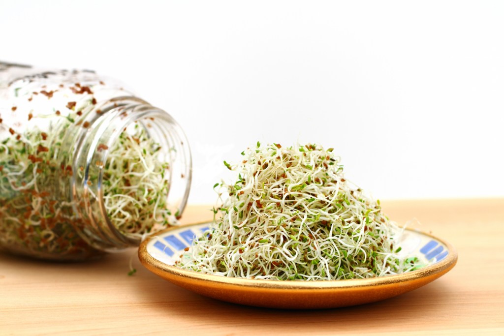 Germinados - Imagen: iStock