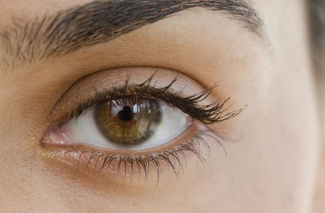 Cejas