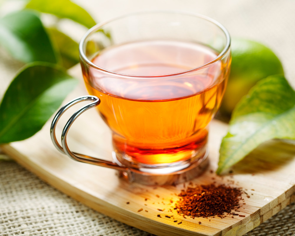 infusión