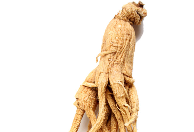 ¿Qué ginseng necesito?