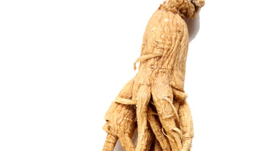 ¿Qué ginseng necesito?
