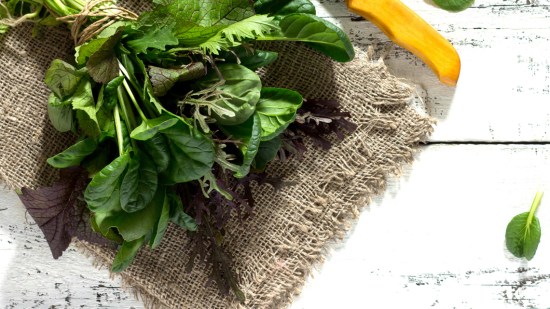 verduras verdes