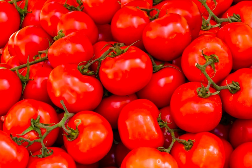 recetas tomates