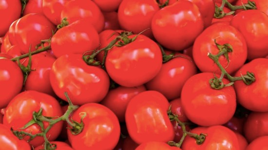 recetas tomates