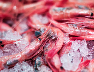 10 trucos para congelar pescado