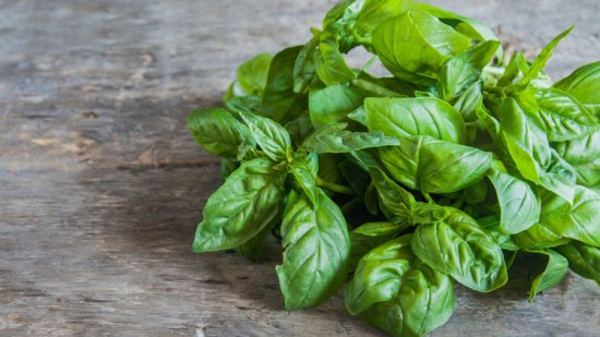 Albahaca