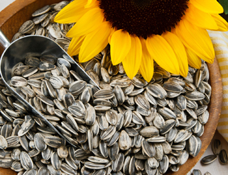 Beneficios de comer pipas de girasol
