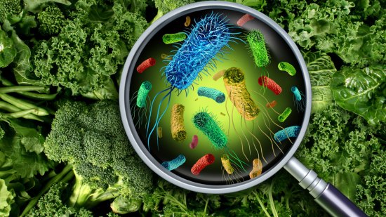 Listeria, la bacteria que pone en jaque tu salud
