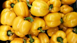 pimientos