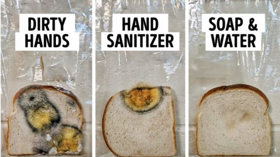 La prueba que muestra por qué hay que lavarse las manos antes de tocar la comida