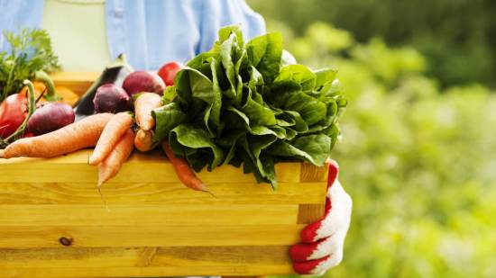 Los alimentos ecológicos son más saludables