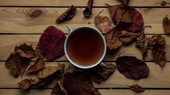 té de champiñones