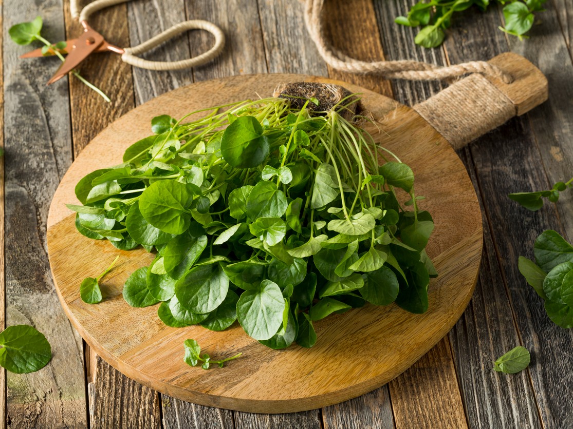 iStock