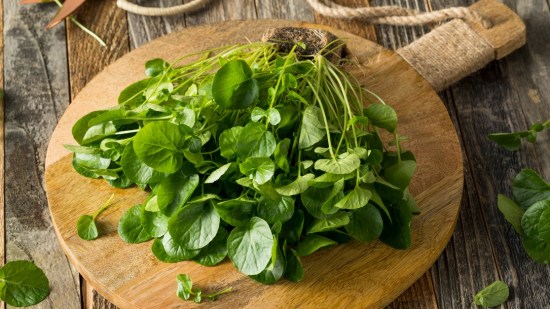 iStock