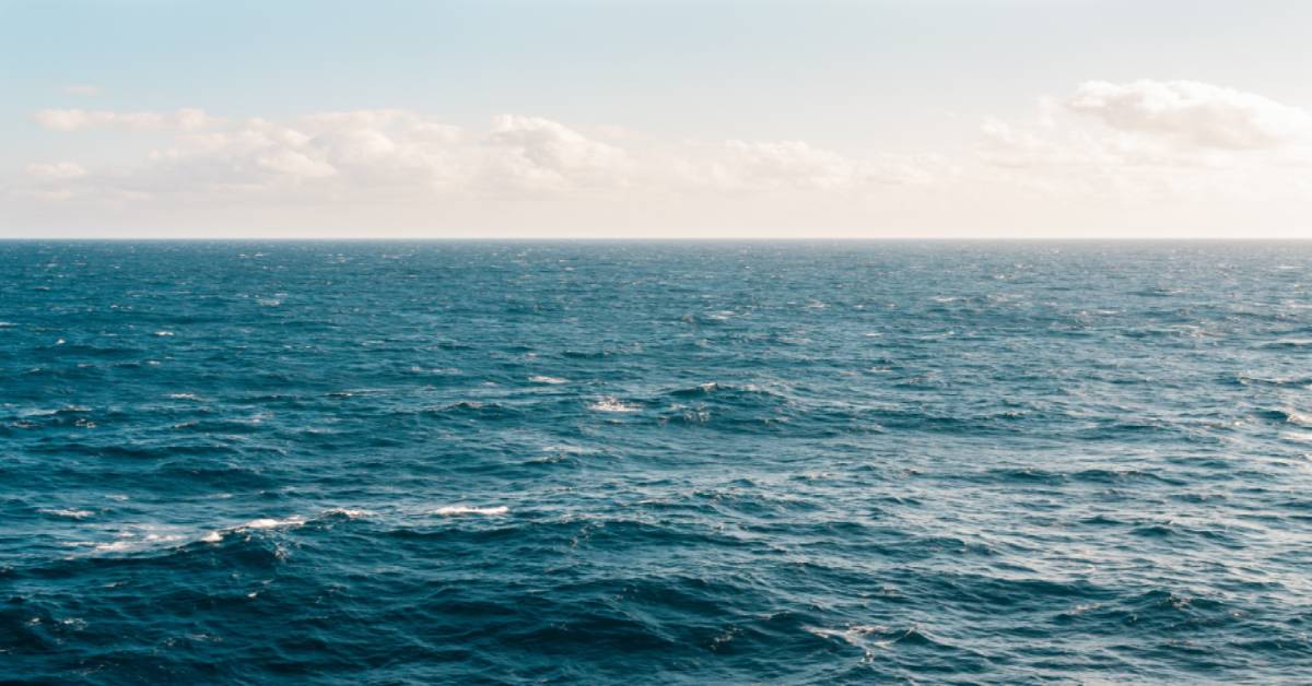 Día del mar