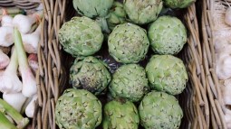 alcachofa
