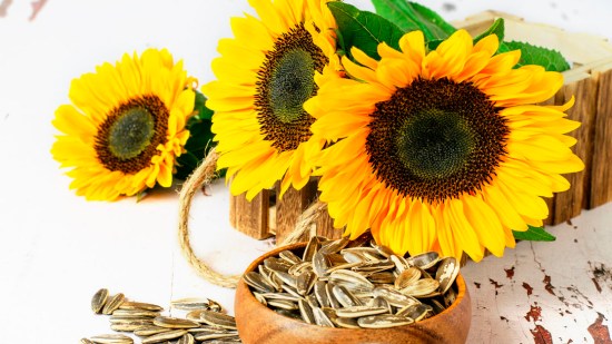 beneficios pipas de girasol