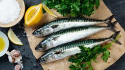 Cuál es el pescado azul de temporada que recomienda la OCU