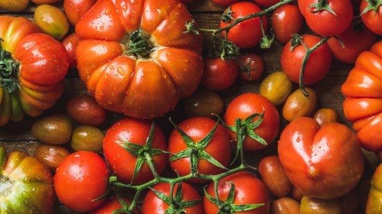 Tomates