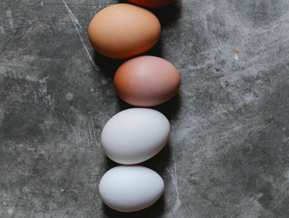 huevos