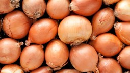 ¿Cómo conservar las cebollas más tiempo?