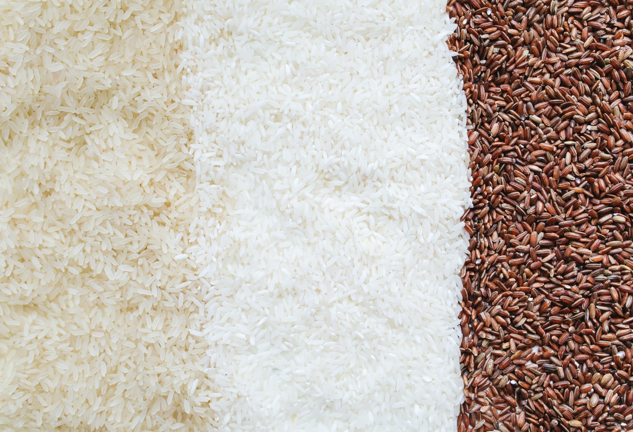 Tipos de arroz