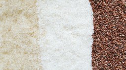 Tipos de arroz