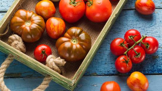 Tomate