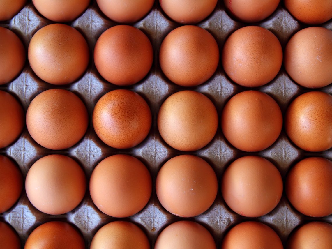 Huevos