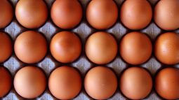 Huevos