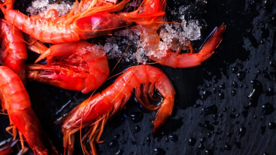 gamba roja