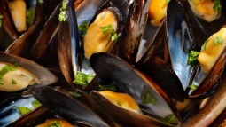 Mejillones al vapor