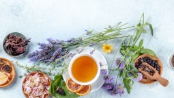 Infusiones