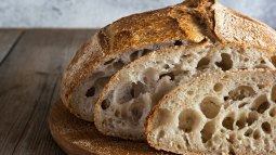 Masa madre