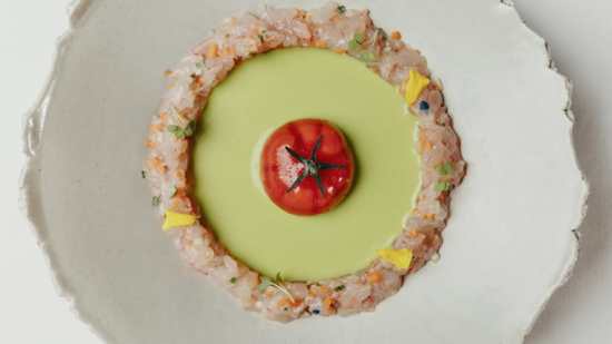 tomate nitro