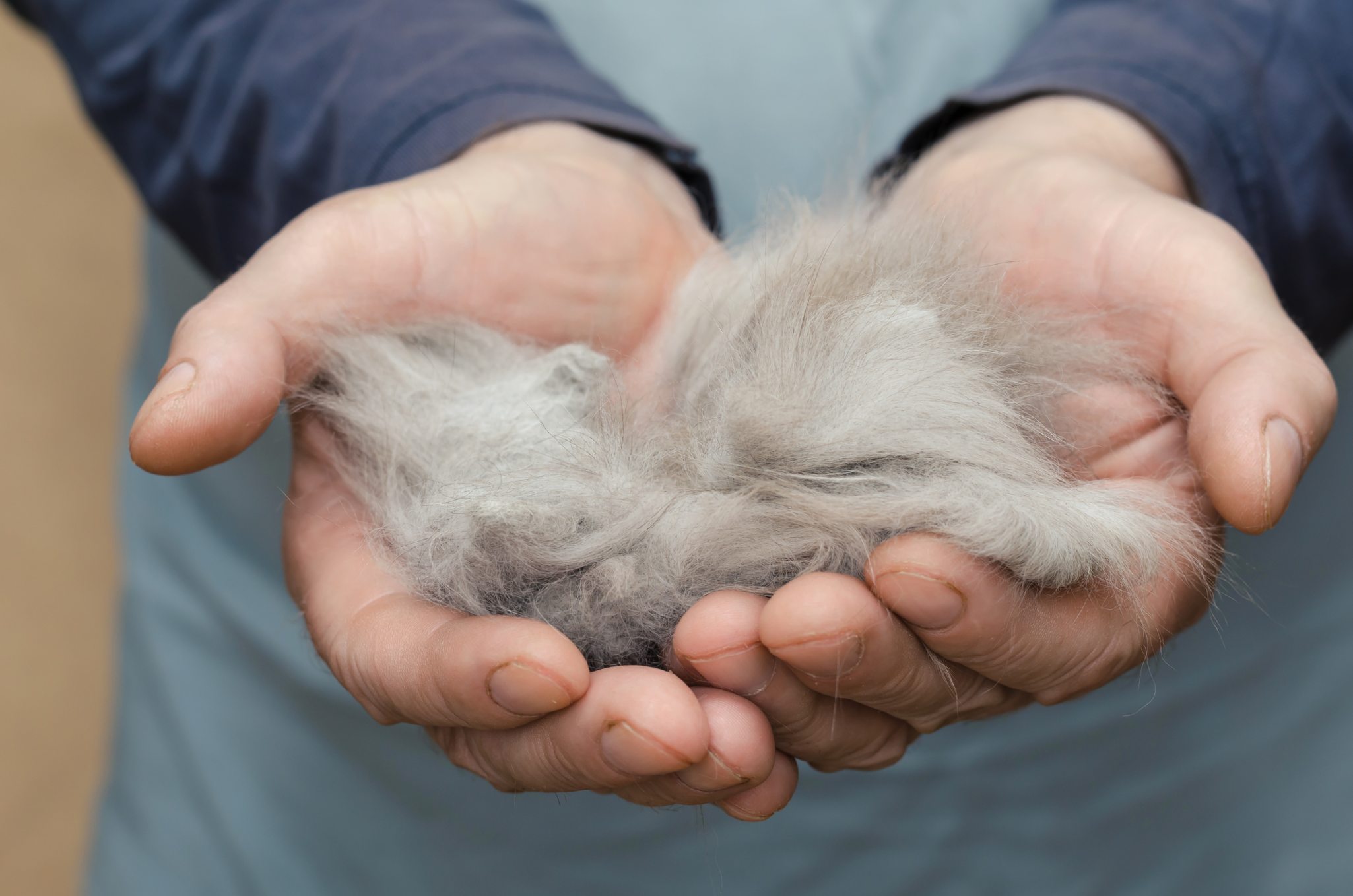 Existe un producto que elimina de la ropa los restos de pelo de nuestras mascotas sin esfuerzo
