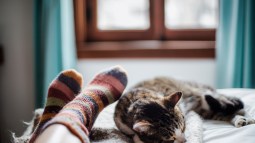 Los expertos aseguran que esta prenda de ropa ayuda a dormir mejor