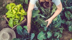 Productos convencionales VS ecológicos: una nutricionista nos explica cuáles son mejores