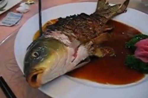 pescado-ying-yang