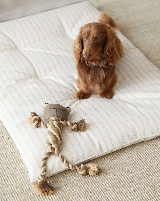 Zara Home mascotas