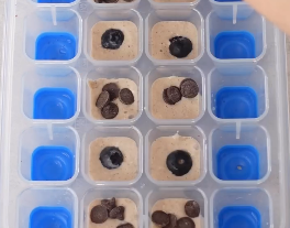 Cubitera con masa de tortitas