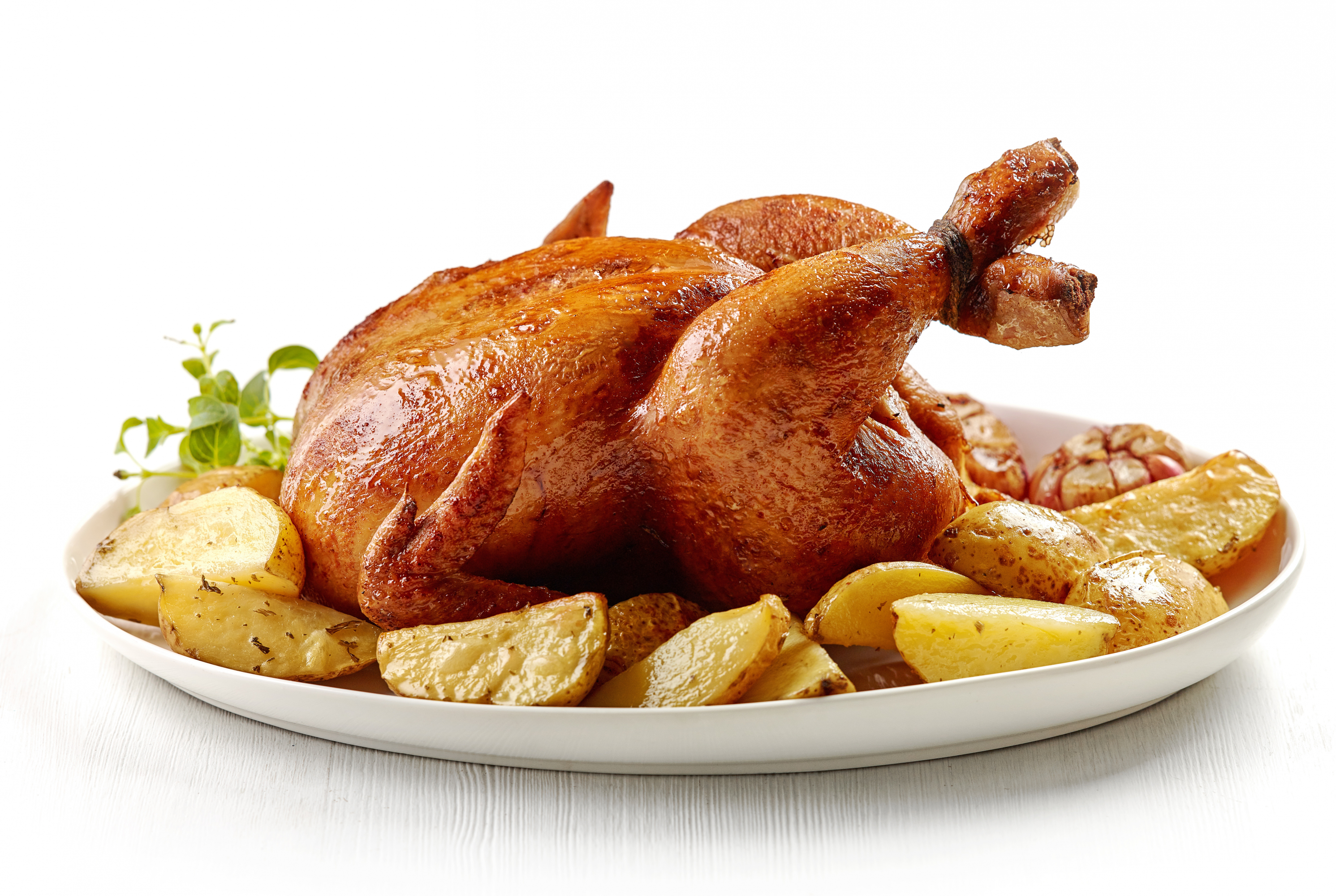 Pollo