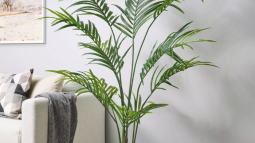Ikea plantas