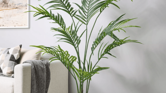 Ikea plantas