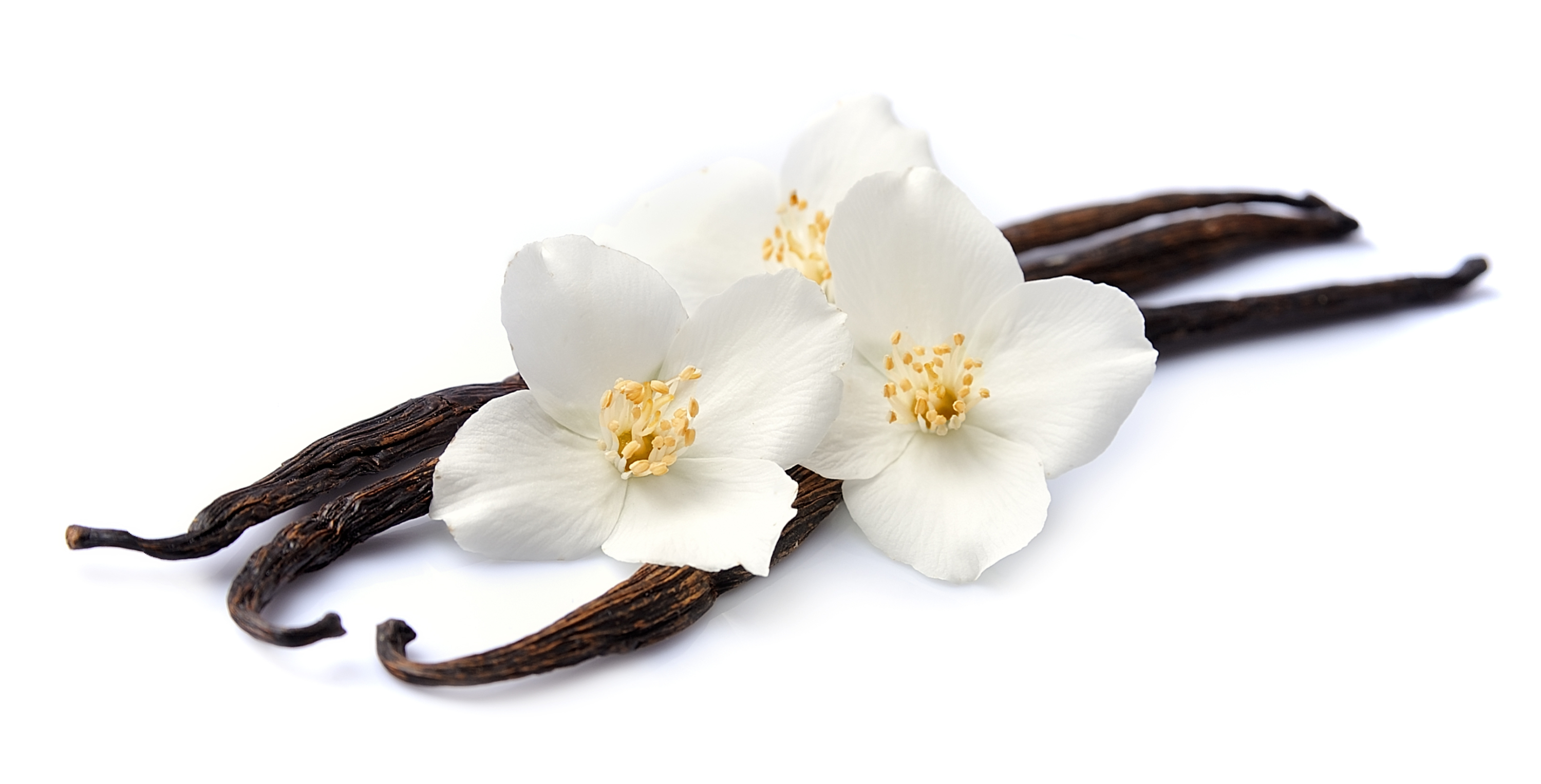 shutterstock_507067915