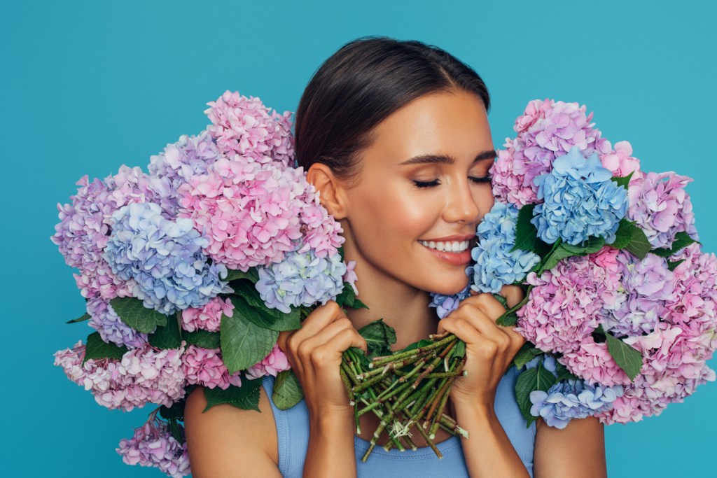 Cuidado de hortensias: errores comunes y cómo evitarlos