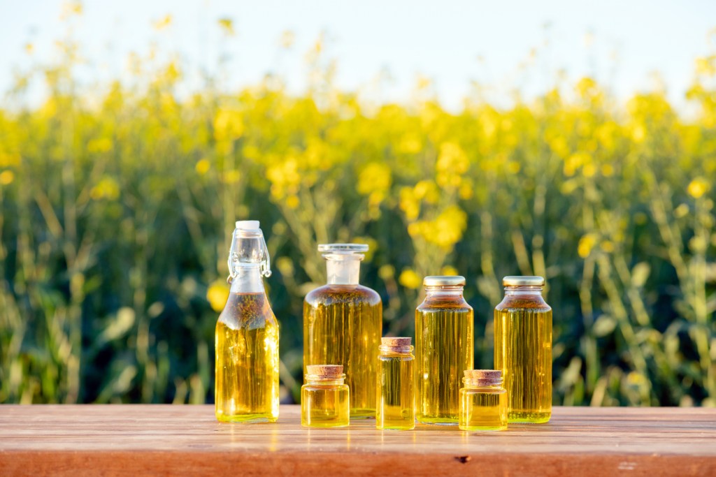 Aceite de nabina: qué es, dónde se encuentra y cuáles son sus beneficios para la salud