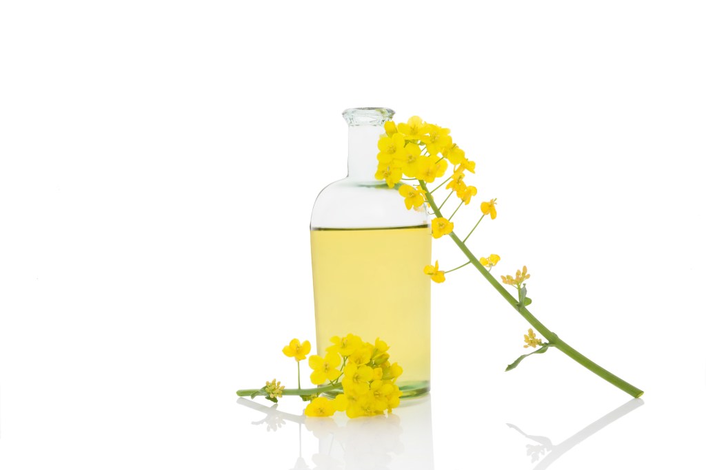 Aceite de nabina: qué es, dónde se encuentra y cuáles son sus beneficios para la salud