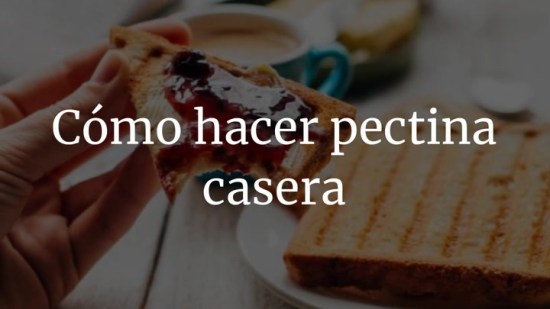Cómo hacer pectina casera