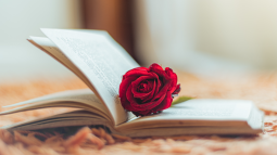 Mejores novelas romanticas